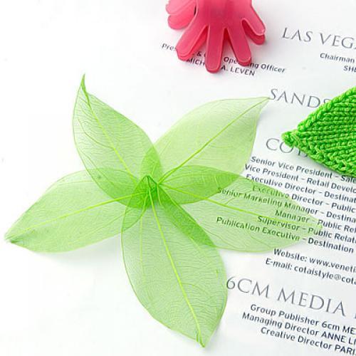 Art And Craft Nature - Natural Catbrier Skeleton Leaves Multi Purpose