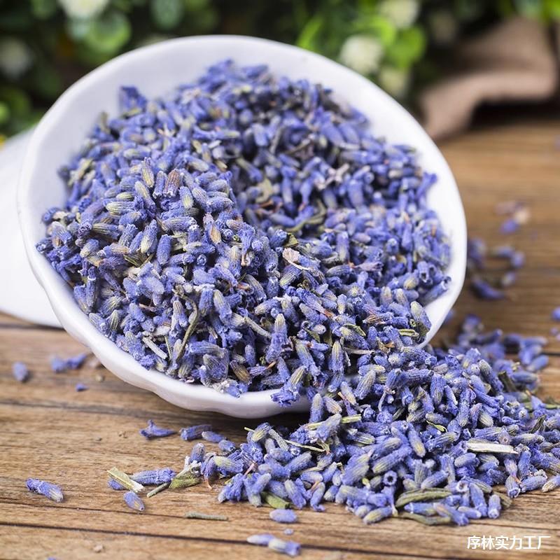Art And Craft Nature - High Quality Natural Dried Flowers Indoor