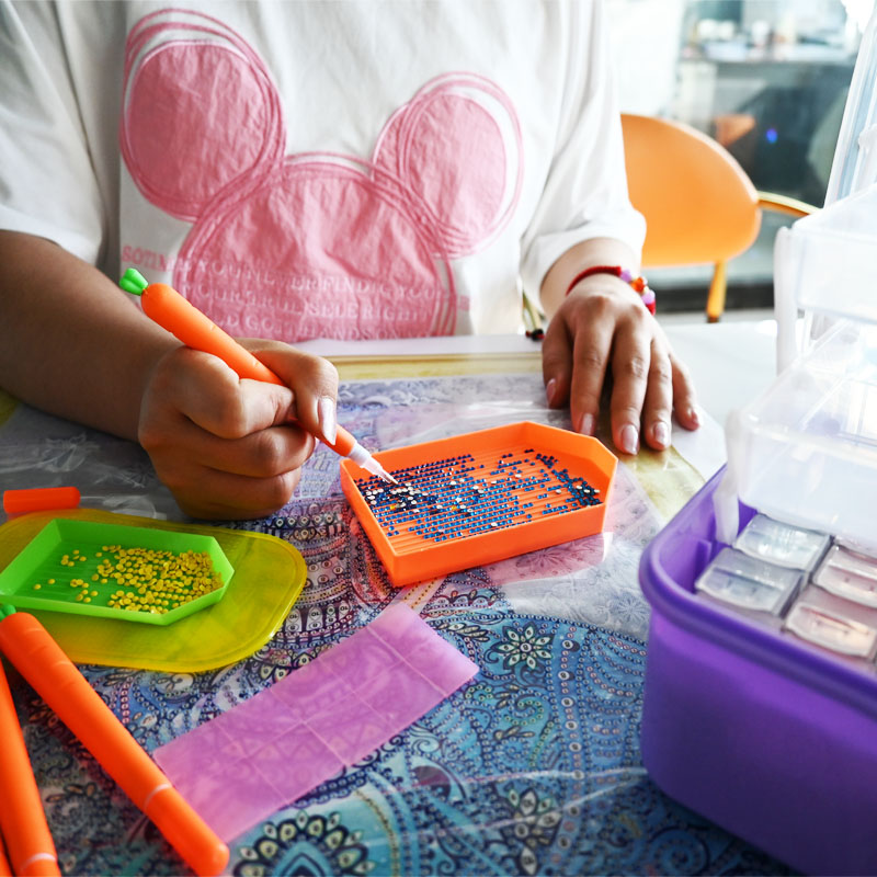 Diamond Embroidery Tools Carro - Diamond Painting Kit recensie en prijs