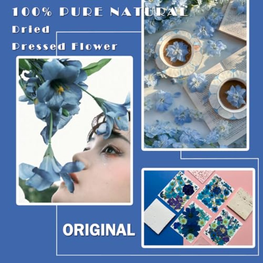 94Pcs Dried Pressed Flowers fo - Art And Craft Nature recensie en prijs