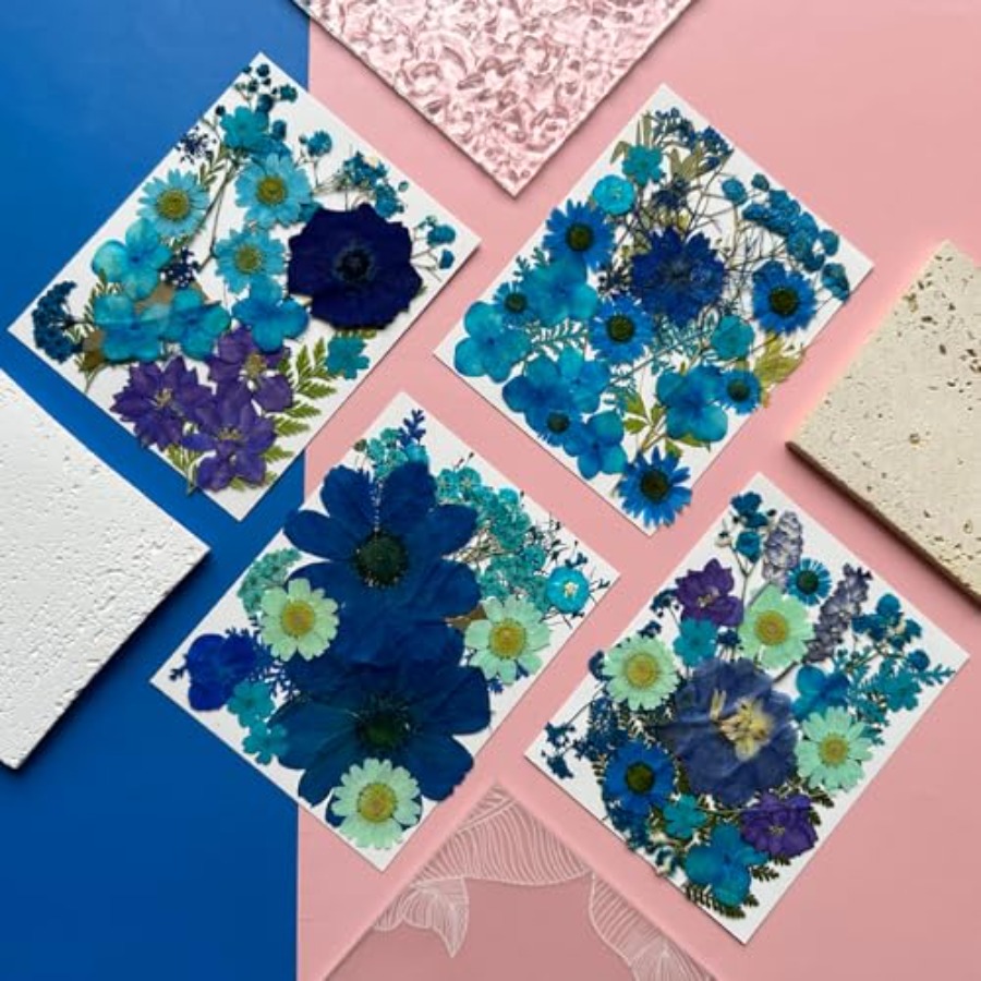 94Pcs Dried Pressed Flowers fo - Art And Craft Nature recensie en prijs