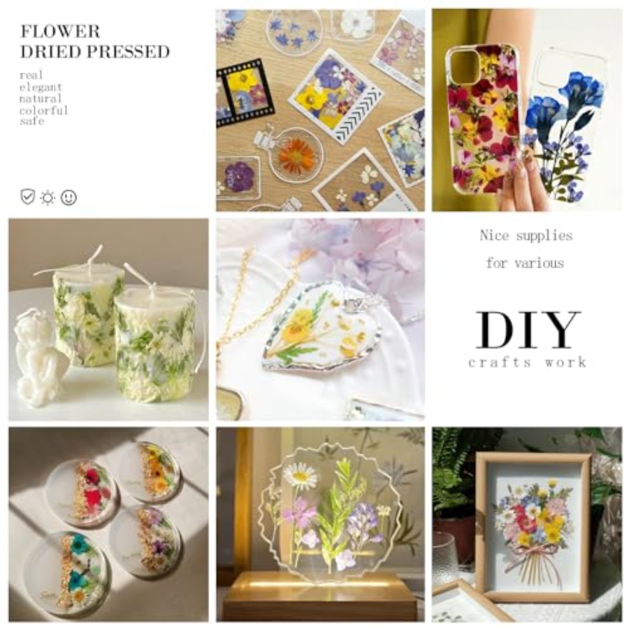 94Pcs Dried Pressed Flowers fo - Art And Craft Nature recensie en prijs