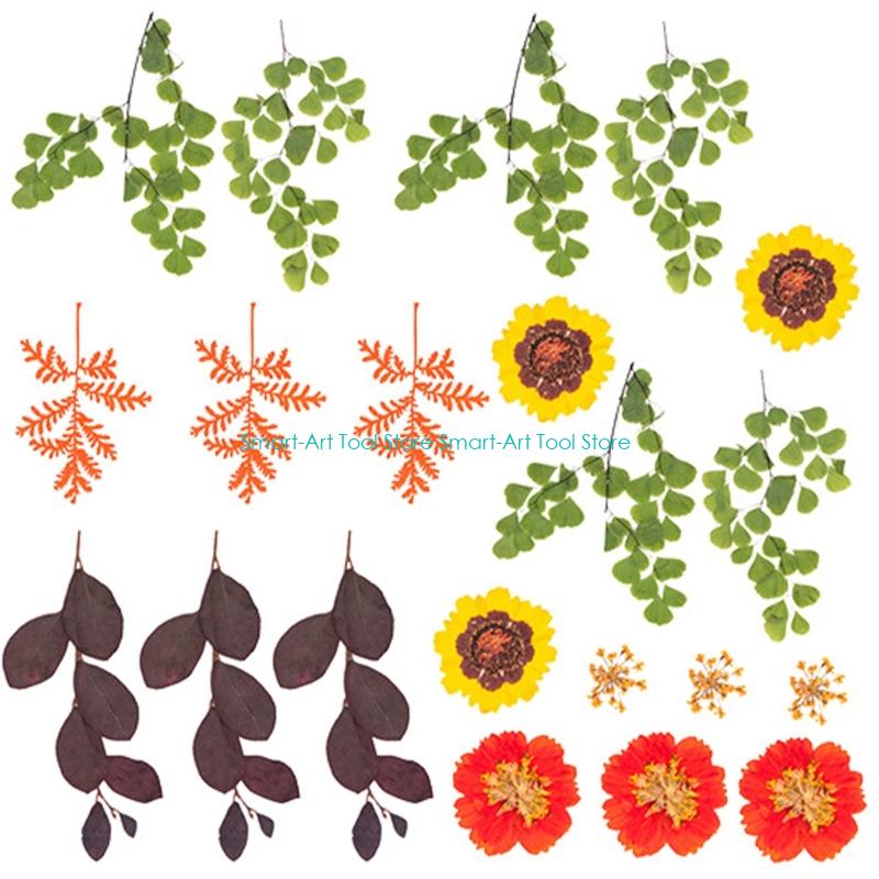 E1PB Natural Dry Flower Leaves - Art And Craft Nature recensie en prijs