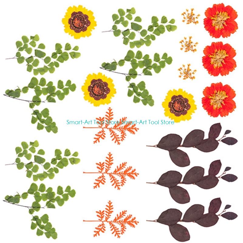 E1PB Natural Dry Flower Leaves - Art And Craft Nature recensie en prijs