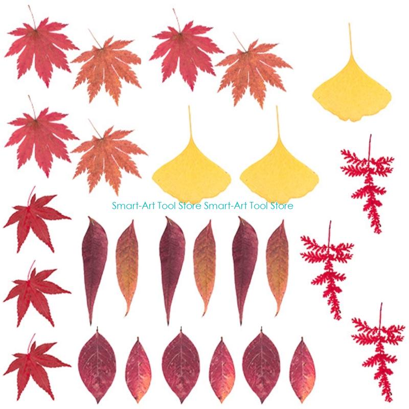 E1PB Natural Dry Flower Leaves - Art And Craft Nature recensie en prijs