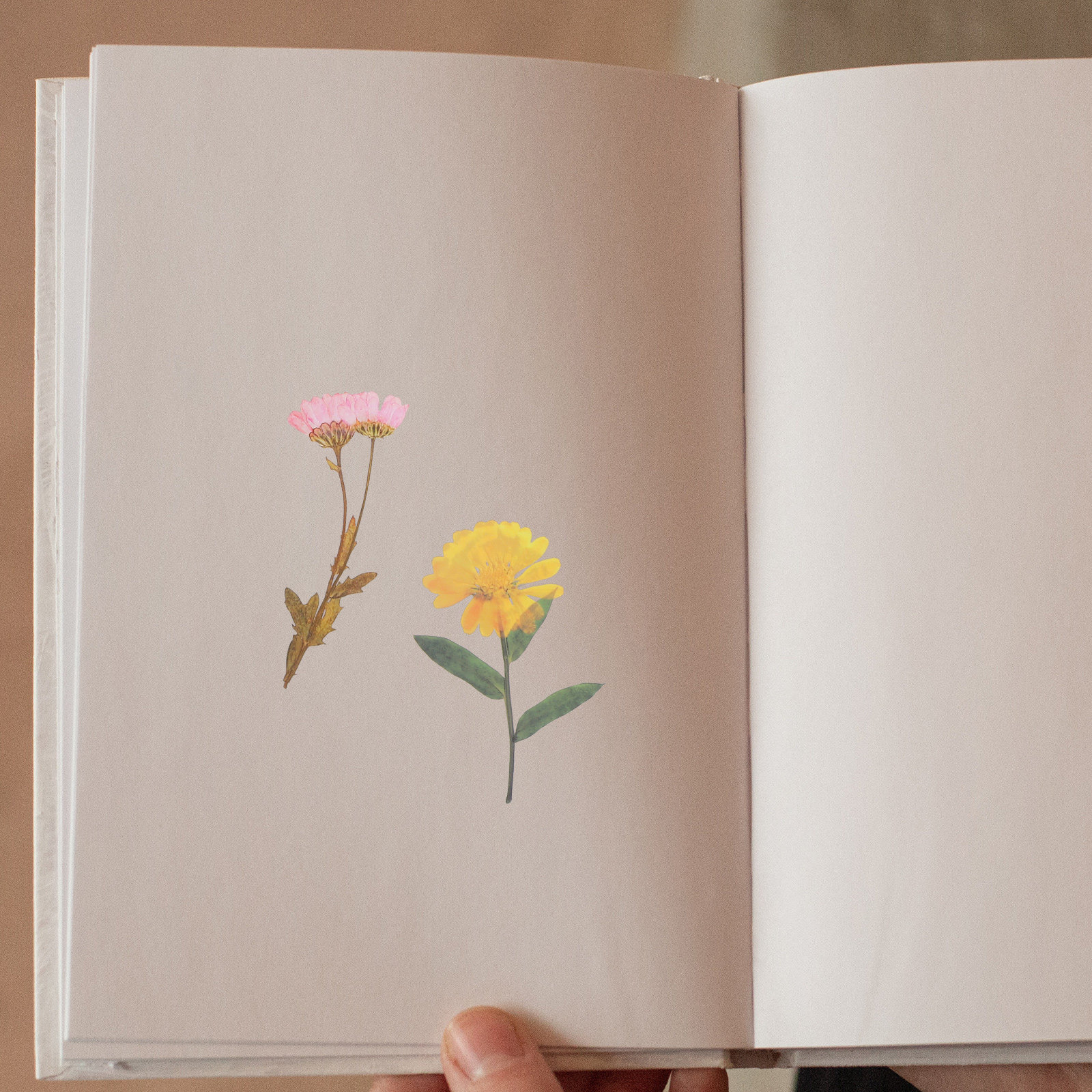 6 Packs Dried Flower Stickers  - Art Craft Journal recensie en prijs