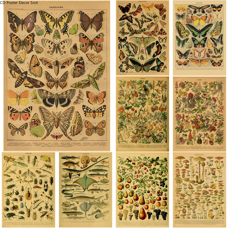 Butterfly Insect Flower Mushro - Art Craft Items recensie en prijs