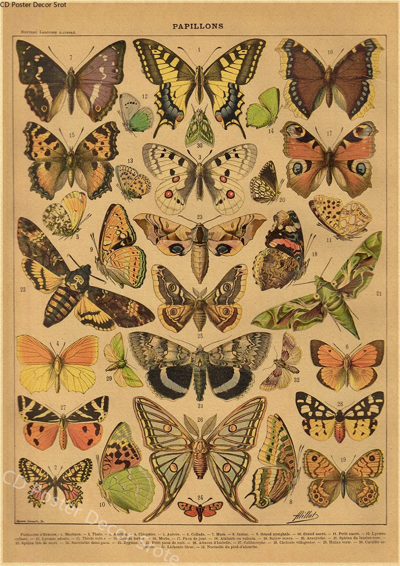 Butterfly Insect Flower Mushro - Art Craft Items recensie en prijs